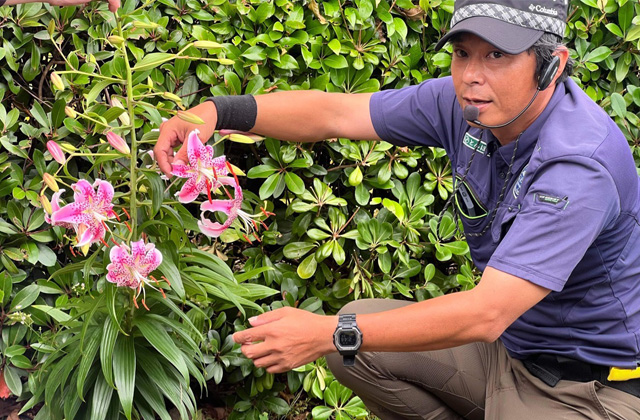 エコツアープラン